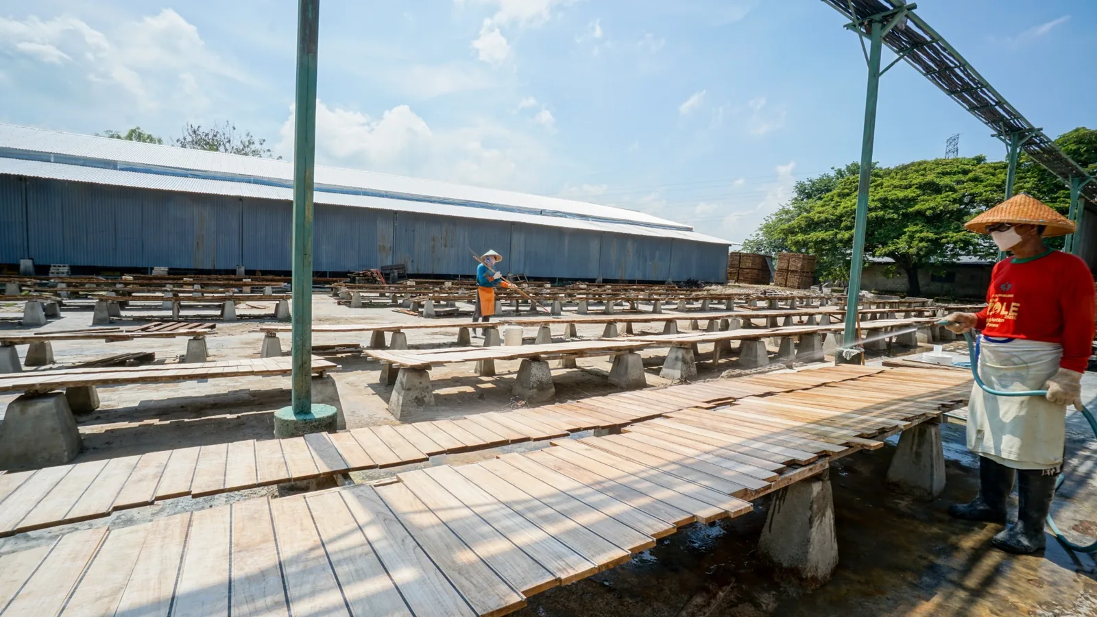 Wooden components arranged for controlled drying and curing outdoors