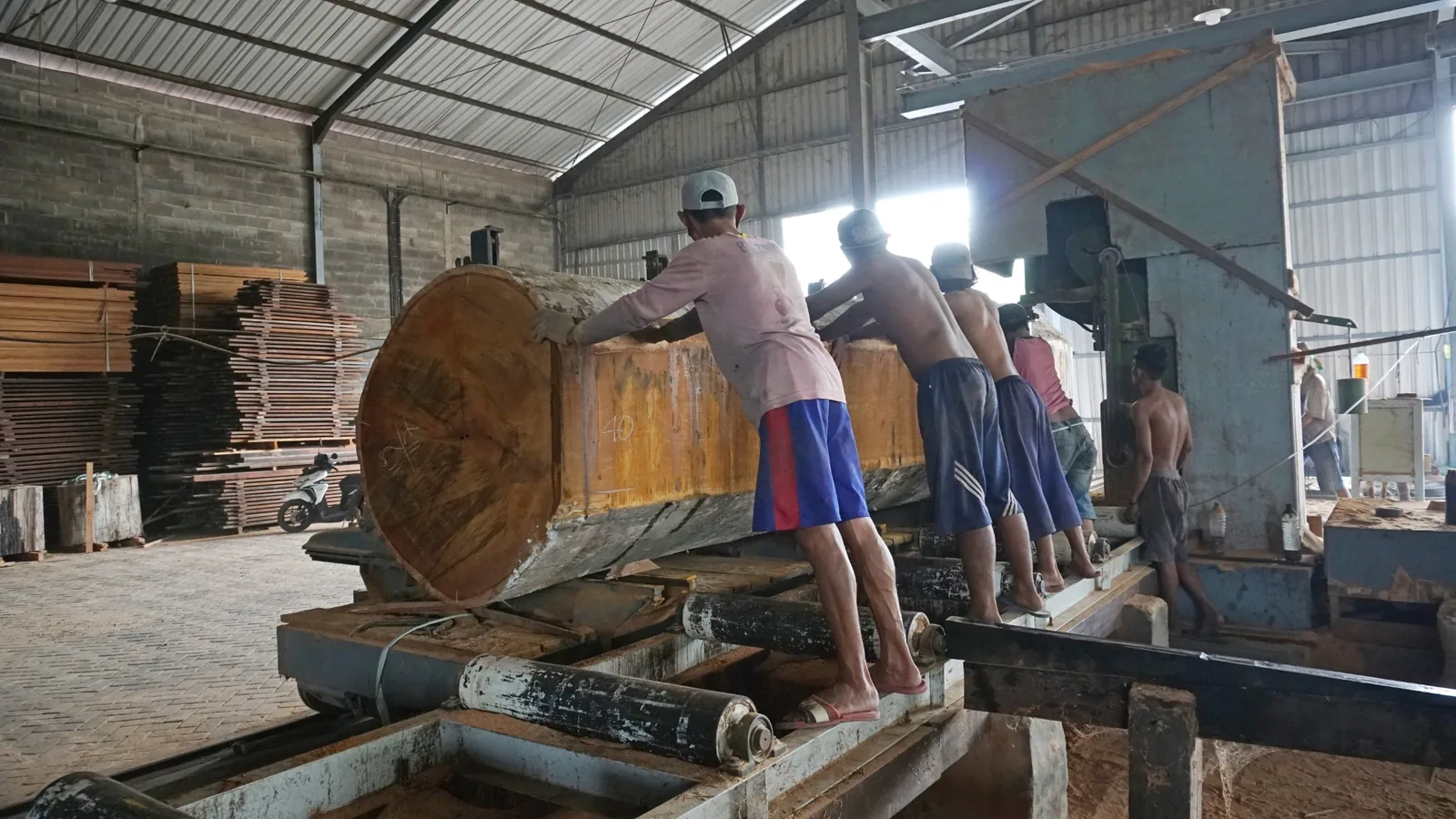 Workers guiding a large timber log through primary sawmilling equipment