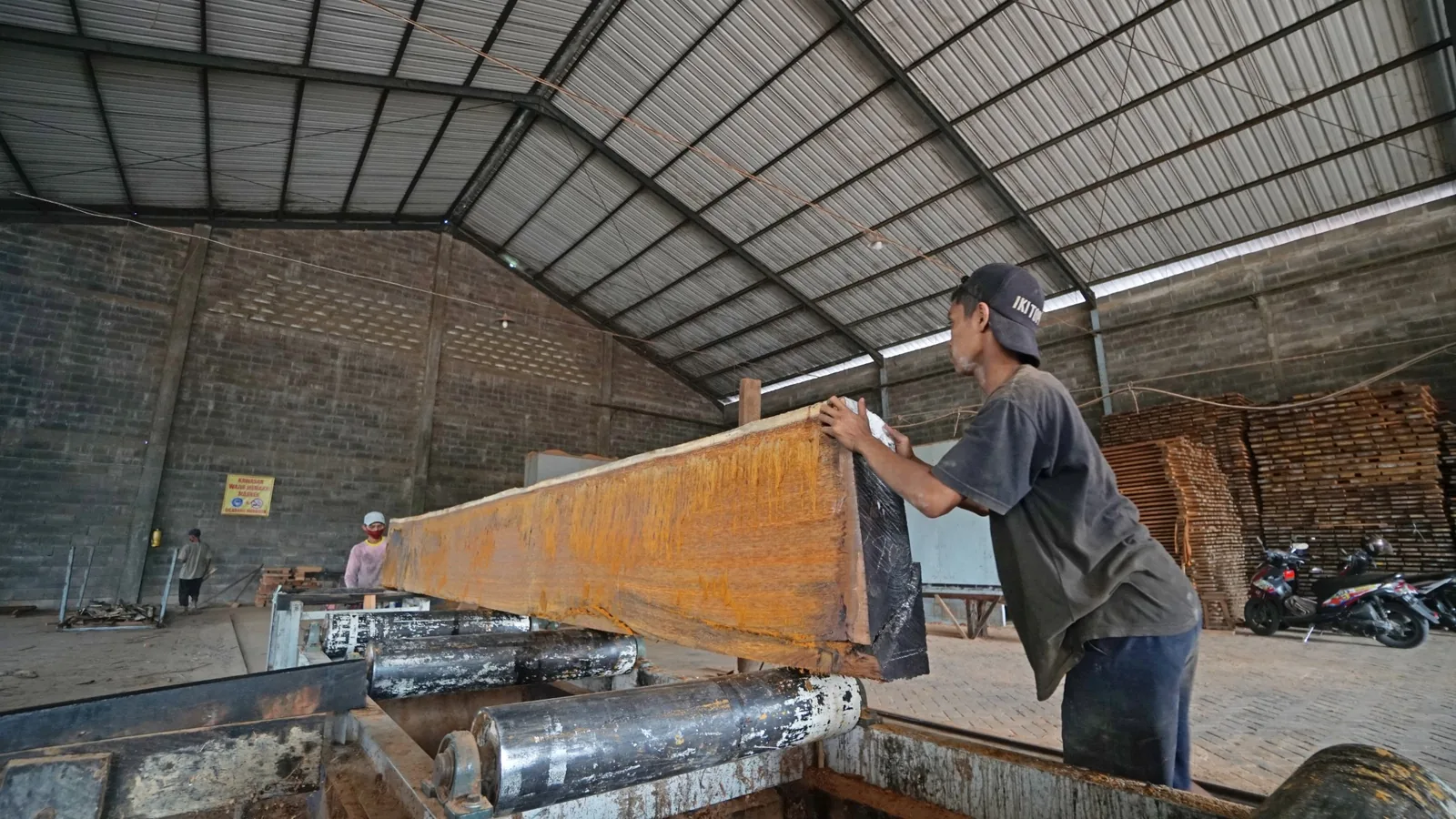 A workshop team handling a freshly processed solid wood slab