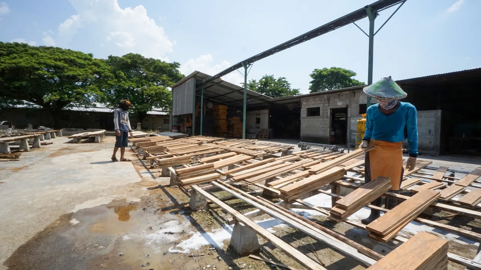 Craftspeople arranging long wooden components for natural seasoning outdoors